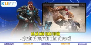 Đá gà đòn
